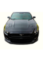 Anchor Room Paint Protection - Fenders (2015-2017 Mustang)