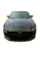 Anchor Room Paint Protection - Top Bumper (2015-2017 Mustang)