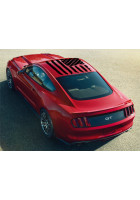 Anchor Room Tattered American Flag Roof Graphic (2005-2024 Mustang)