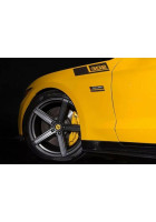 Anchor Room Upper Fender Saleen Stripes - 302 (2015-2024 Mustang)