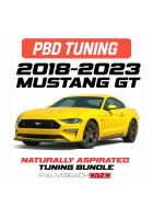 Palm Beach Dyno 18-23 Mustang GT Naturally Aspirated Custom Tune