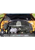 Anchor Room Build Plate Radiator Size Sublimated Plates (2018-2023 Mustang)