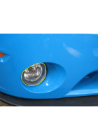 Anchor Room Paint Protection - Fog Light (2007-2014 Mustang GT500)