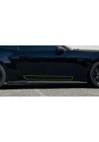 Anchor Room Paint Protection - Bottom Door Protection (2024+ Mustang)