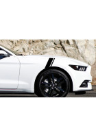 Anchor Room Fender Stripes - 4" (2010-2014 Mustang)