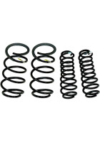 Ford 2020-2022 GT500 Carbon Fiber Track Pack Coil Spring Kit (16-25 w/ MagneRide)