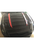 Anchor Room Roush Style Hood Line Accents (2015-2017 Mustang)