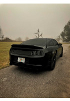Anchor Room Tail Light Lens Complete Vinyl Tint (2013-2014 Mustang)