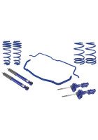 Roush 05-10 Mustang 4.6L V8 Stage 2 Suspension Kit