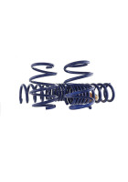 Ford Performance 24-26 Mustang GT Coupe (w/Passive Suspension) Track Lowering Spring Kit