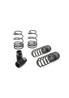 Eibach Pro-Kit for 07-08 Ford GT500 Convertible/Coupe