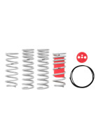 Eibach Drag Launch Kit for 79-98 Ford Mustang Cobra Coupe / 79-04 Couple / 03-04 Mach 1 Coupe