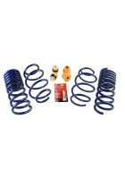 Ford Performance 15-23 Mustang (w/o MagneRide) Street Lowering Spring Kit