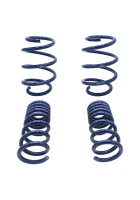 Ford Performance 2015-2017 Mustang GT350 Lowering Springs