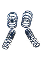 Ford Performance 05-14 Mustang GT 1.0in. Track Lowering Springs