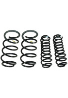 Ford Performance 05-14 Mustang  Cobra Jet Spring Kit