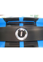 Anchor Room 3RD Brake Light Lens Vinyl Tint (2010-2014 Mustang)