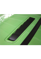 Anchor Room Hood Extractor Accents (2013-2014 Mustang GT)