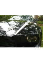 Anchor Room Hood Line Accents (2005-2009 Mustang)