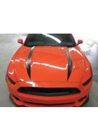 Anchor Room Hood Line Accents (2015-2017 Mustang)