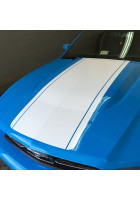 Anchor Room Hood Center Decal Kit (2010-2012 Mustang)