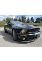 Anchor Room Paint Protection - Front Lens Tint Kit GT500 (2007-2009 Mustang)
