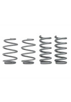 RTR Tactical Performance Lowering Springs (15-24 GT Fastback, EcoBoost w/o MagneRide)